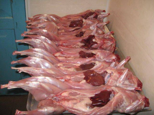 Сколько стоят кролики мясом