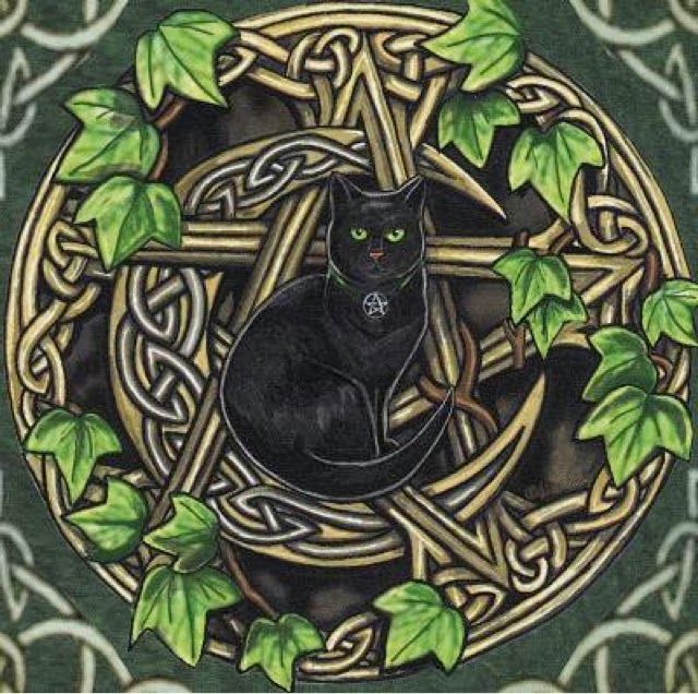 Черная кошка в доме — оберег от негатива