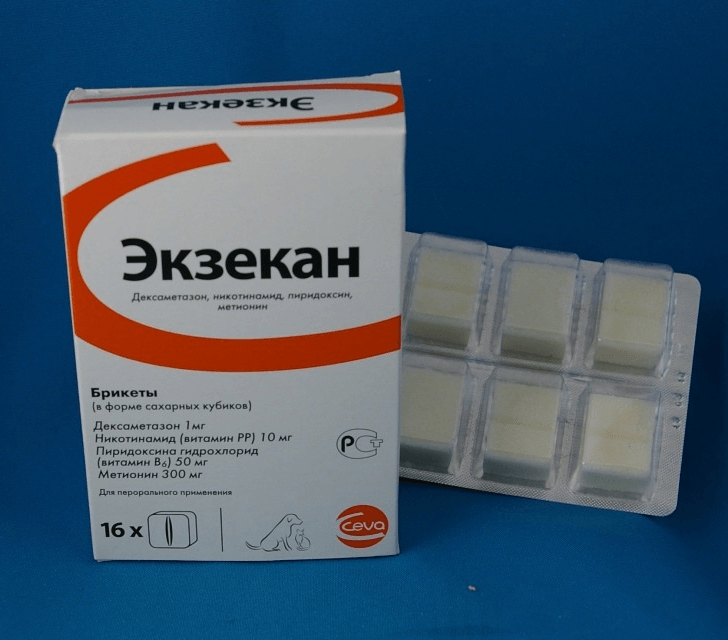 Экзекан для собак: инструкция по применению таблеток, побочные действия, аналоги и отзывы ветеринаров. давать ли препарат щенкам?