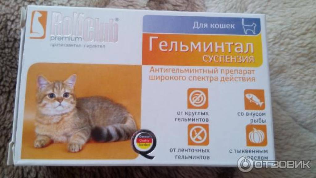 Таблетки и другие средства от глистов для кошек