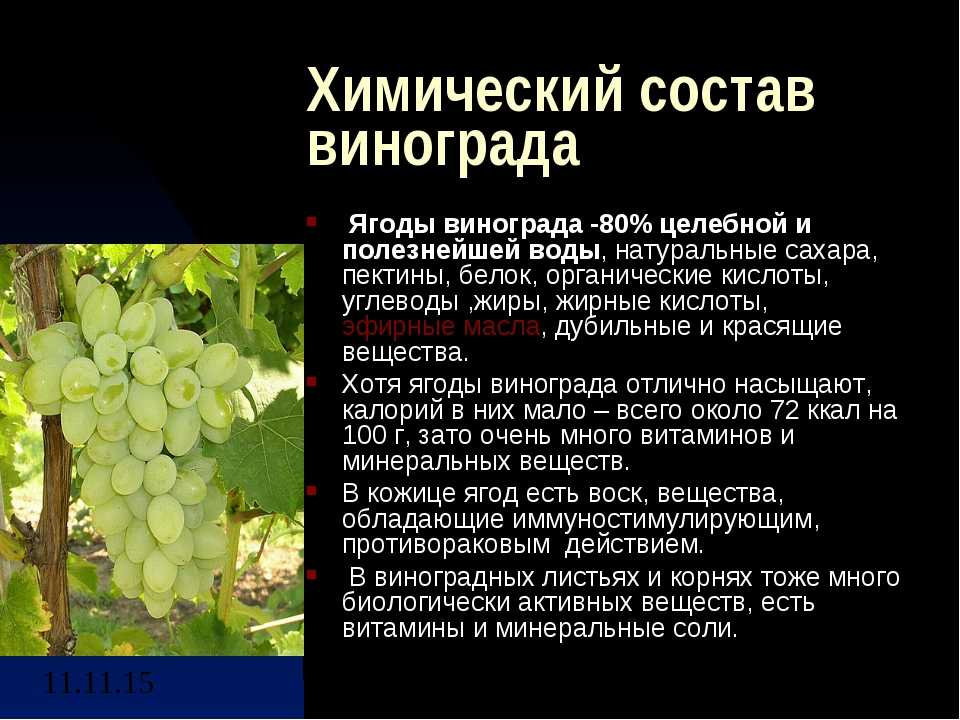 Подходит ли кроликам для кормления виноград, виноградная лоза и листья