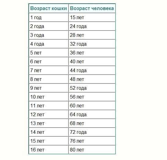 Сколько живут кошки