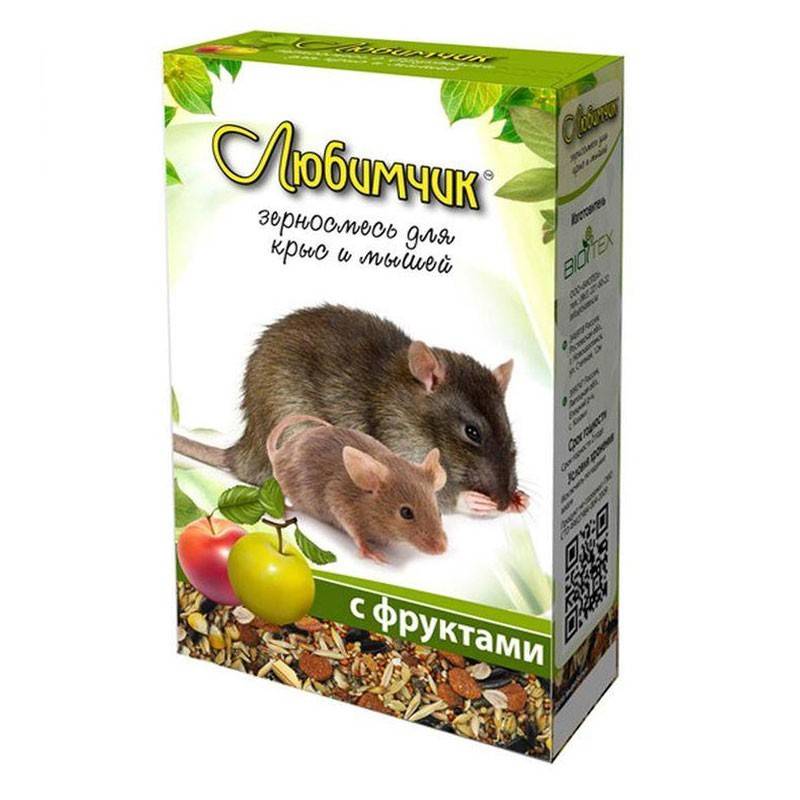 Обзор самых популярных кормов для декоративных крыс 2021 года