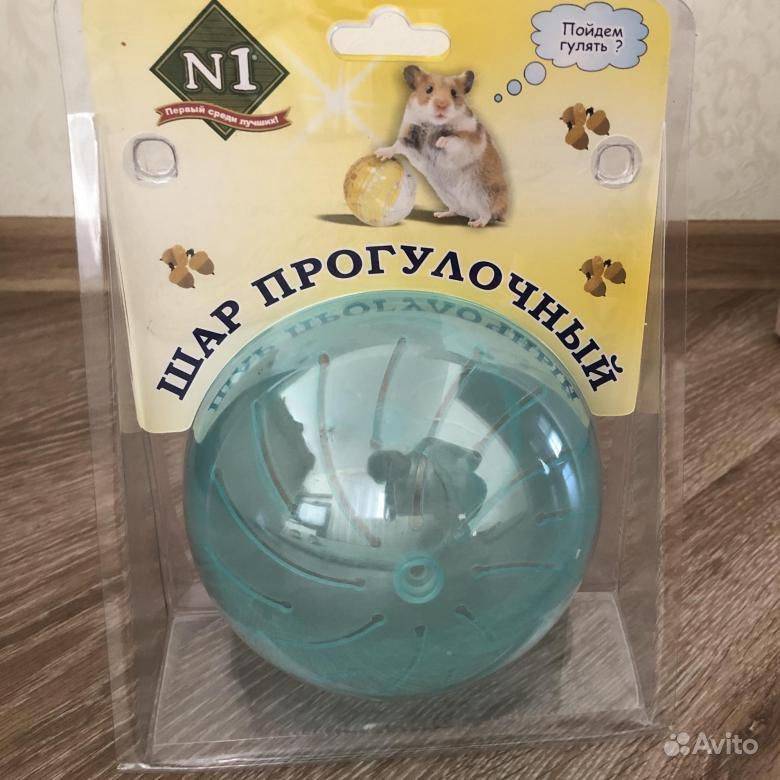 Прогулочный шар для хомяка: выбор и назначение