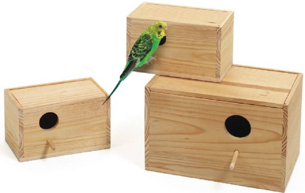 Строим гнездо для попугаев неразлучников: особенности разведения