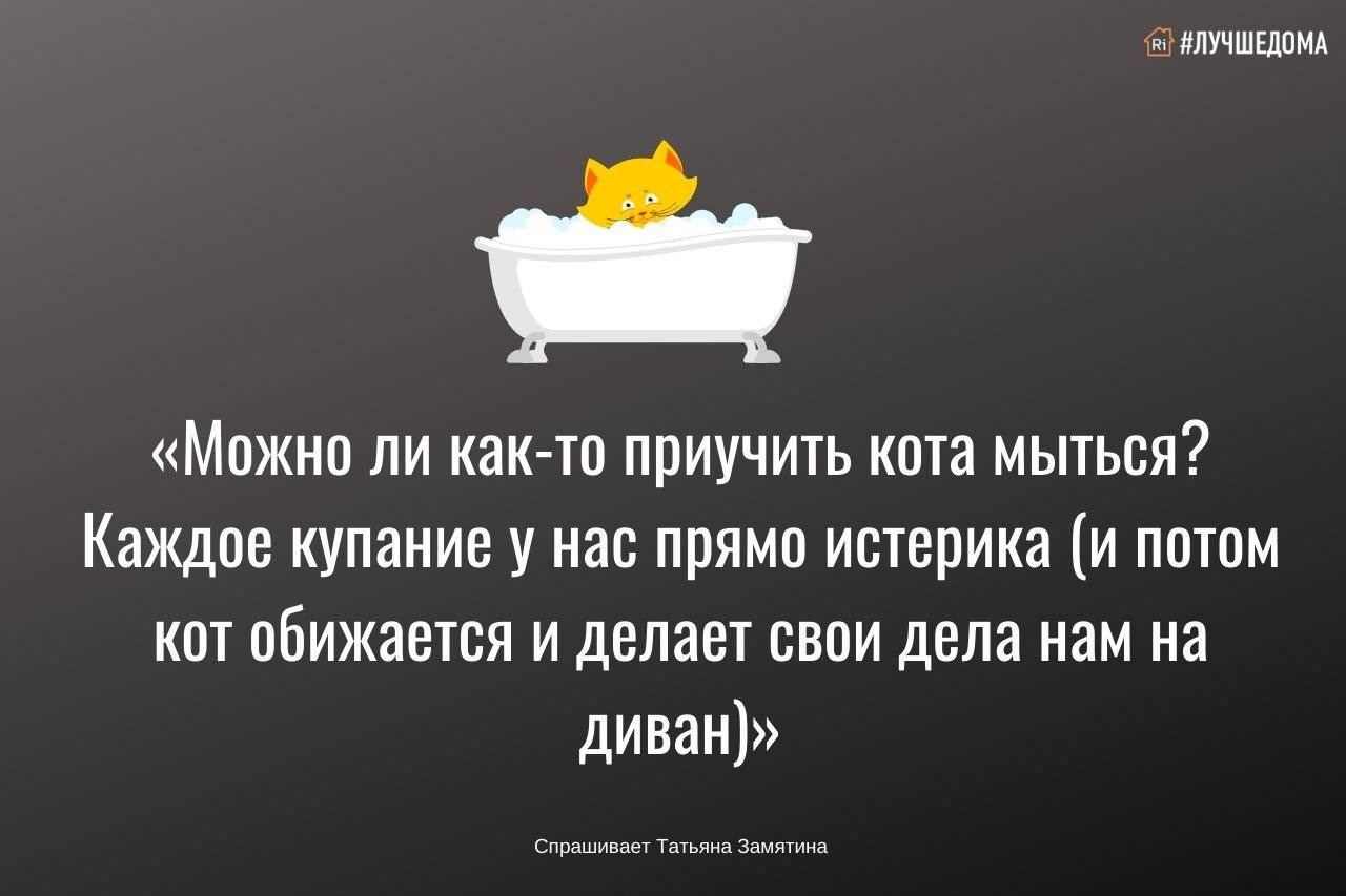 Почему собака ест землю? нехватка витаминов и минералов? поедание грязи и камней у собак