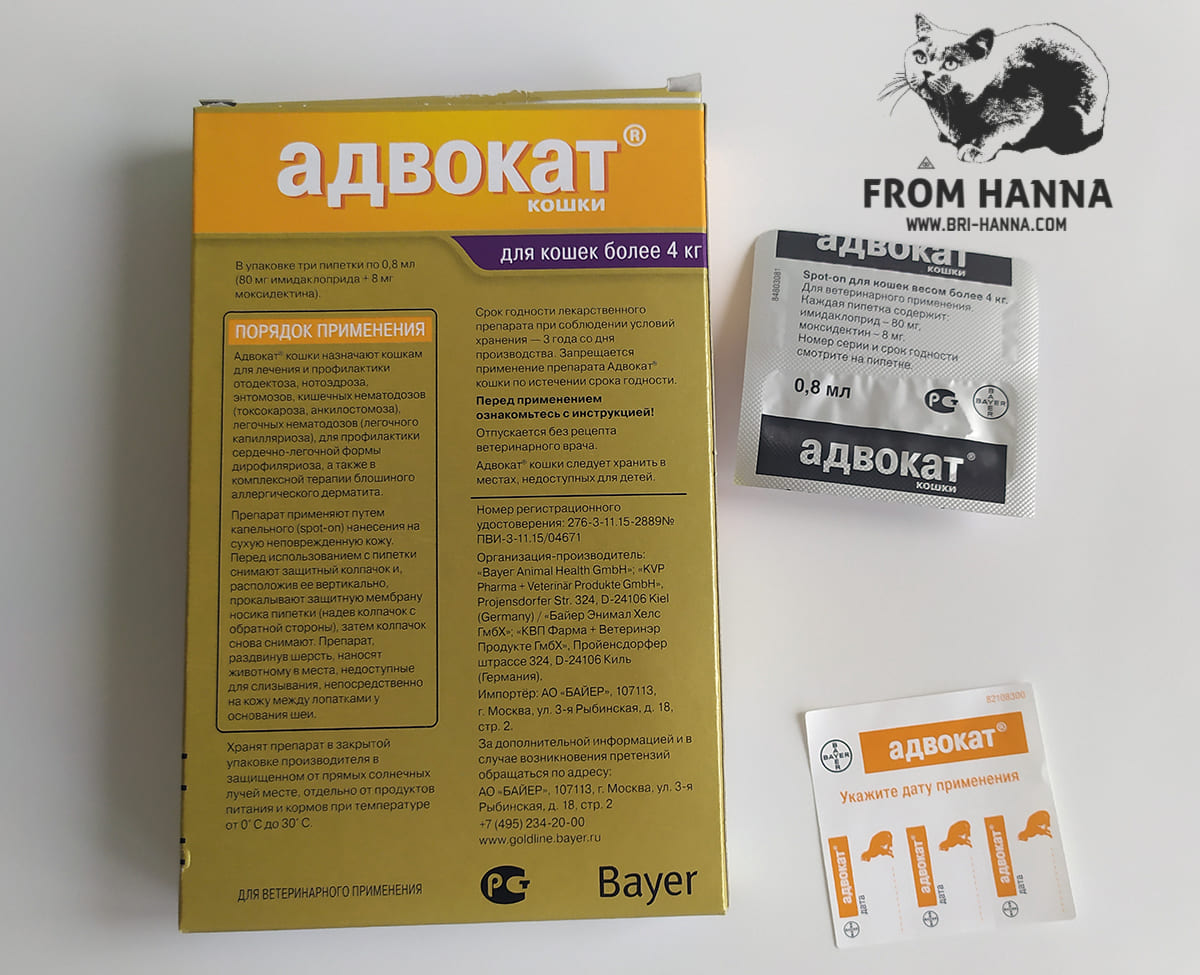 Амброксол — инструкция по применению препарата
амброксол — инструкция по применению препарата