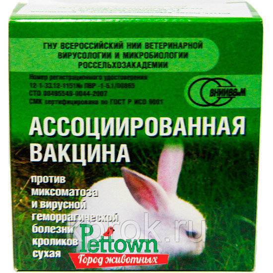 Вакцинация кроликов: какие прививки и когда делать, как проводить вакцинацию самостоятельно