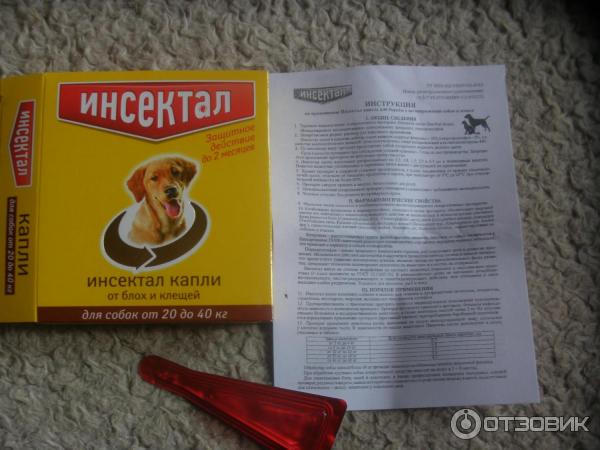 Инструкция по применению препарата анотен