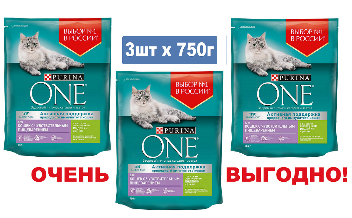 Корм для кошек "purina one": состав сухого и влажного продукта и его виды