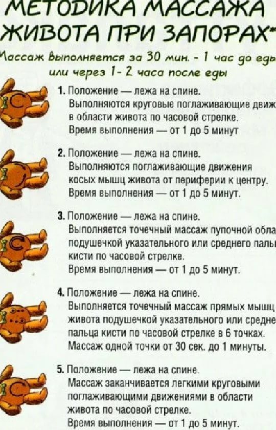 Запор у котенка: что делать в домашних условиях