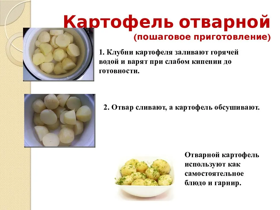 Можно ли собакам картошку? - ростки жизни