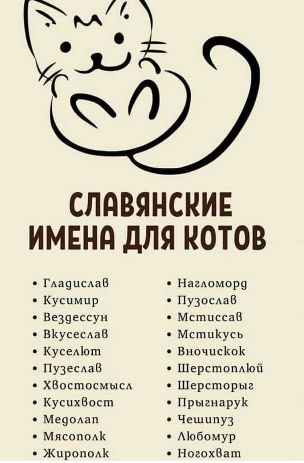 Список лучших имен для кошек и котов : самые популярные, красивые, оригинальные и смешные клички подходящие для черных, рыжих, белых, трехцветных и полосатых котов и кошек | qulady