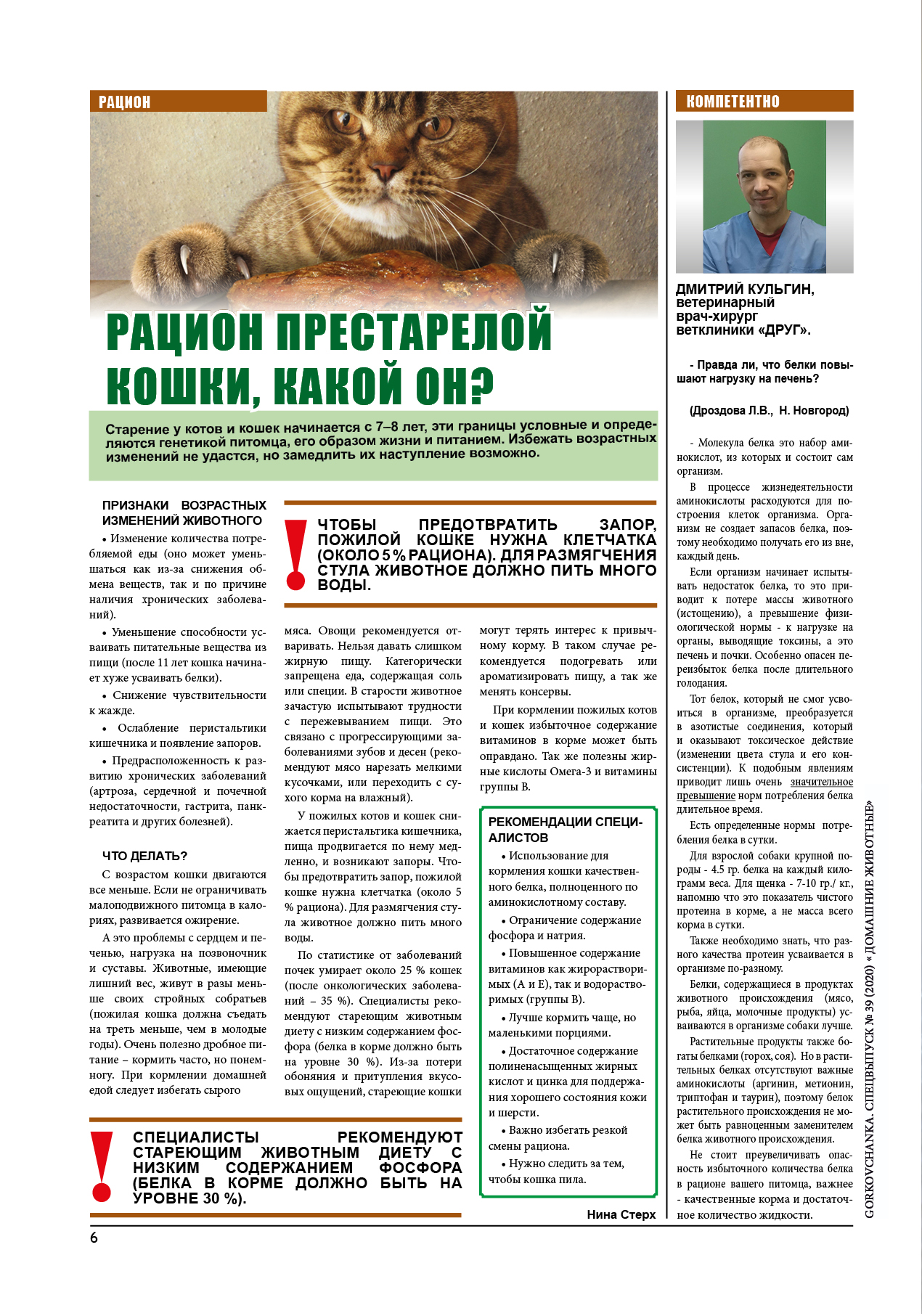 Как ухаживать за престарелыми кошками? | блог ветклиники "беланта"