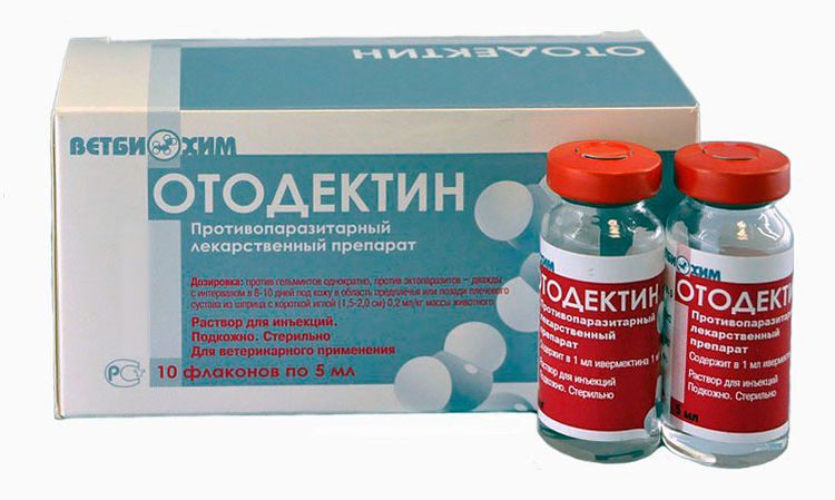 Отодектин для собак: инструкция по применению, назначение и отзывы