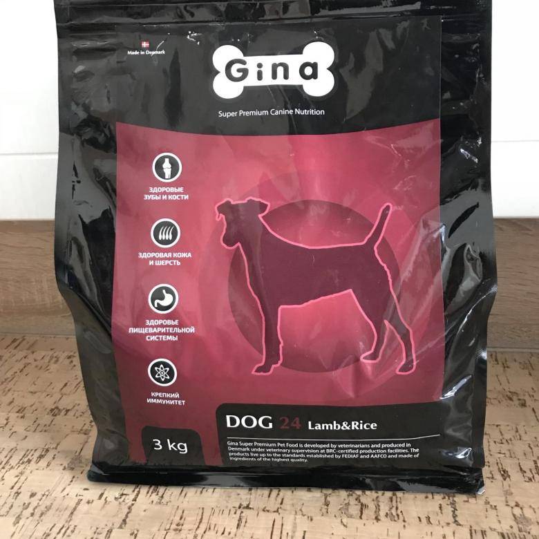Корм для кошек gina: готовые рационы для домашних любимцев