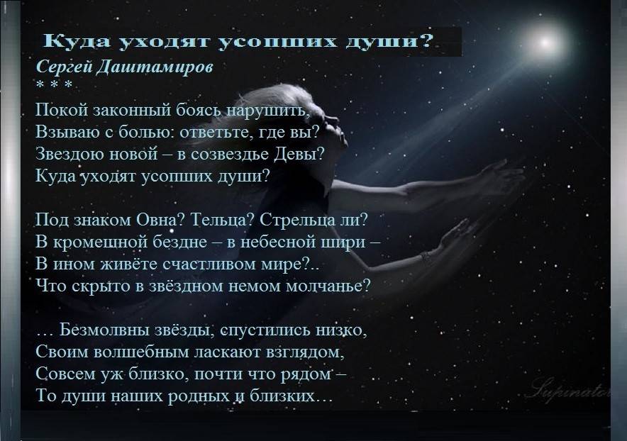 Что происходит с котом после смерти: куда уходит их душа