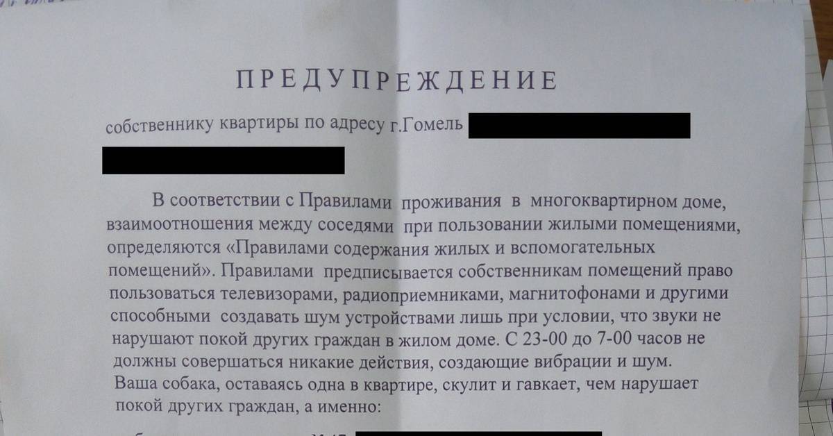 Что делать если у соседей постоянно лает собака