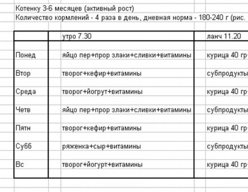 Чем и сколько раз кормить котенка (1 месяц) без кошки в домашних условиях, можно ли давать готовые корма в месячном возрасте