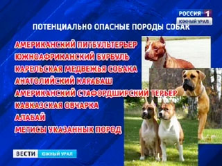 Потенциально опасные собаки рф. Потенциально опасные породы. Потенциально опасные собаки. Список потенциально опасных пород собак. Перечень опасных собак в России.