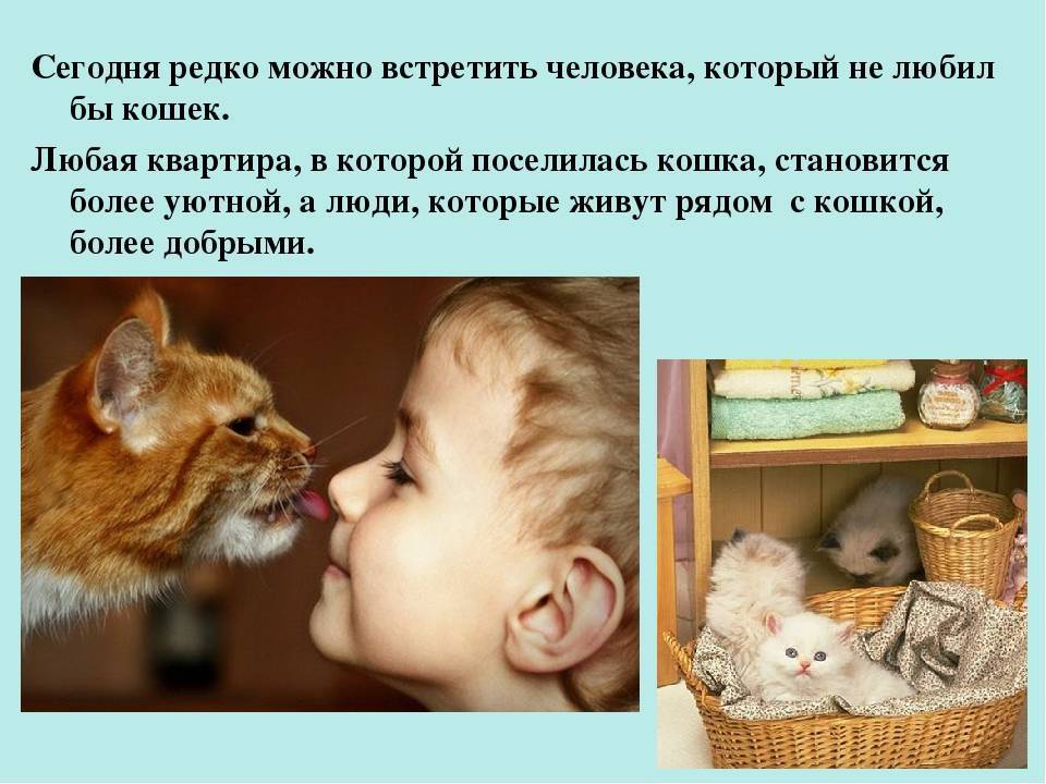 5 самых странных (и страшноватых) психических расстройств