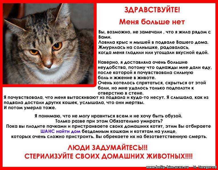 Признаки овуляции у женщин: как почувствовать | симптомы овуляции