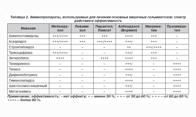 Кошачья болезнь "лямблиоз"