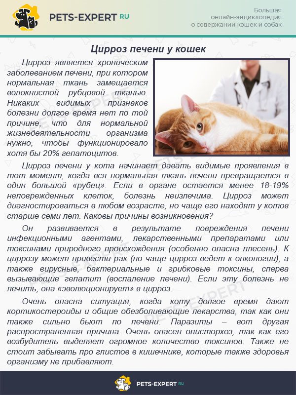 Анестезиология