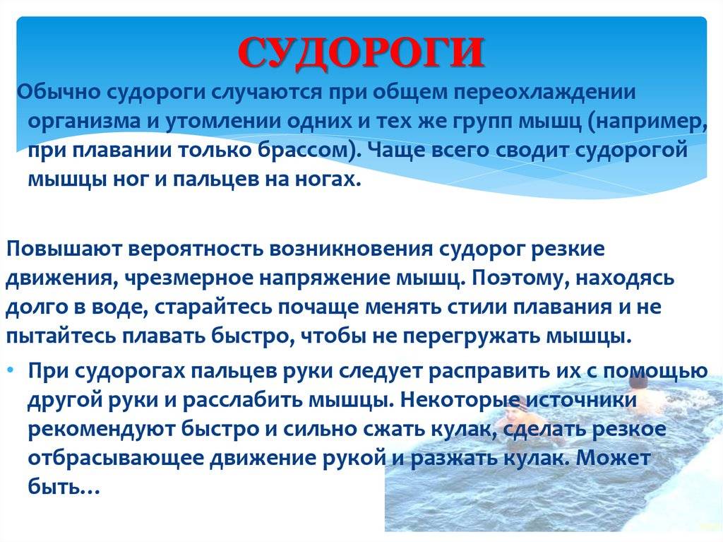 Судороги у кошки. как спасти жизнь любимому питомцу
