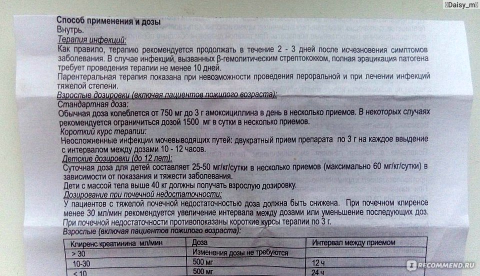 Инструкция по применению амоксициллина в таблетках и уколах для лечения кошек: как рассчитать дозировку и куда колоть?