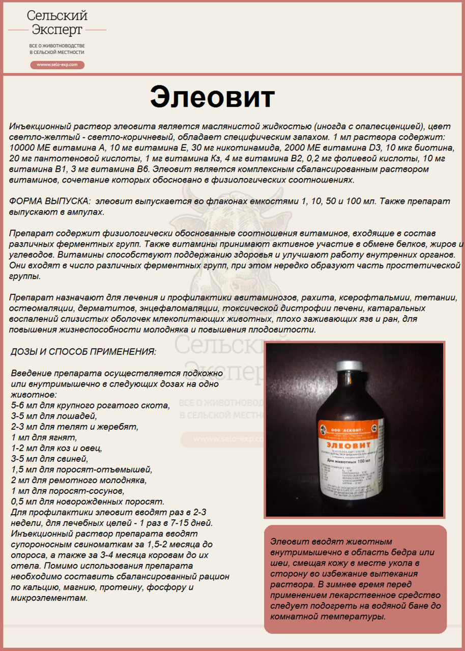 Витамин элеовит для КРС. «Элеовит» ветеринарный препарат. Элеовит укол ветеринарный. Инструкция по применению элеовита для КРС.