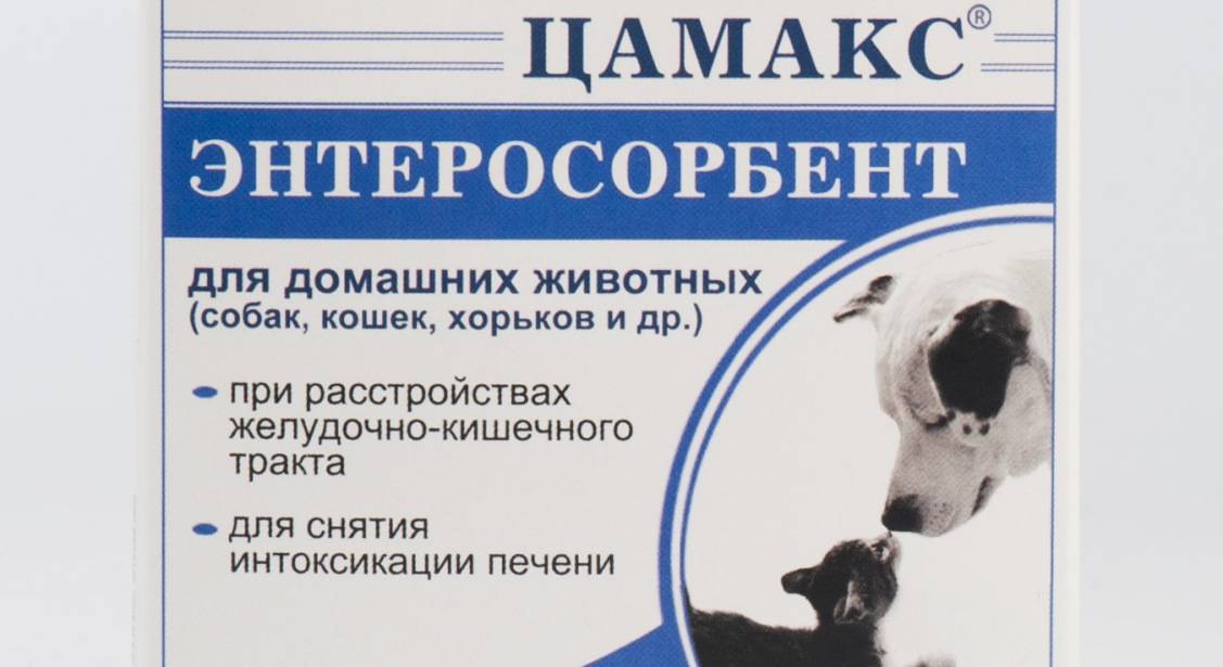 Кошку или кота рвёт: виды рвоты (сухим кормом, жёлтой жидкостью, белой пеной и другие), причины, лечение в домашних условиях