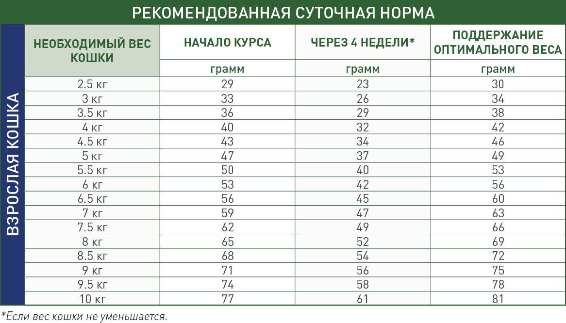 10 мифов и фактов о метаболизме: откуда берется лишний вес и как его убрать? | университетская клиника
