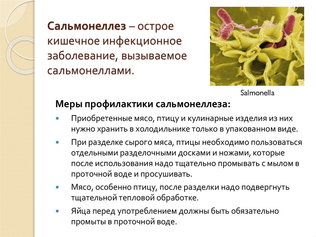Сальмонеллез: симптомы у взрослых, лечение, признаки, чем лечить сальмонеллез