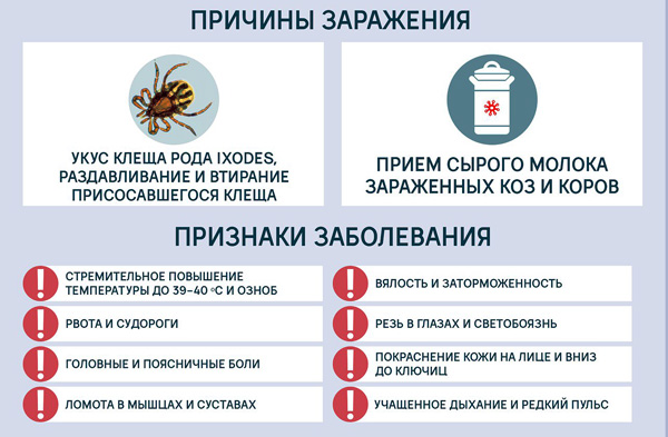 Клещевой энцефалит у собак. говорим о признаках и последствиях | ваши питомцы