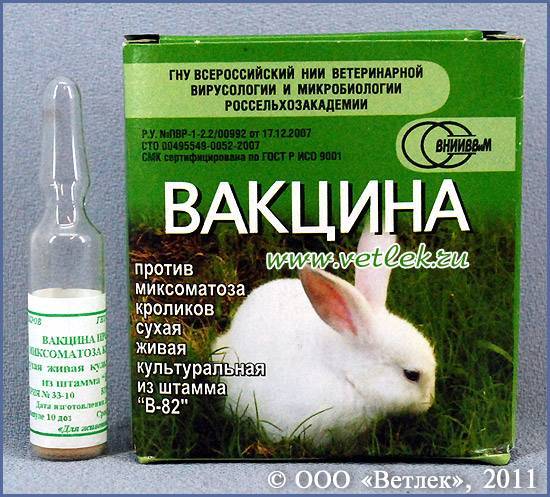 Вакцина ммr ii: корь, краснуха, паротит