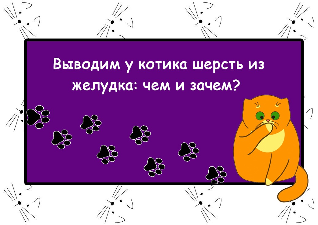 Как вывести шерсть из желудка кошки в домашних условиях: чем опасна шерсть в желудке, пасты, аптечные средства, домашние средства