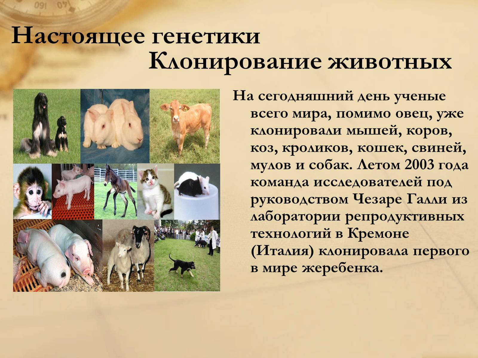 Клонирование