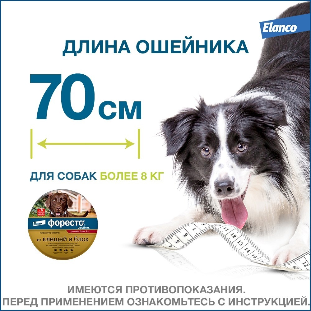 Отзывы об ошейниках форесто