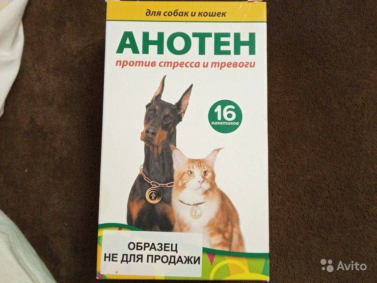 Инструкция по применению препарата анотен