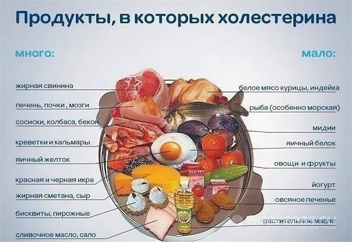Как сделать корм для хомяков в домашних условиях