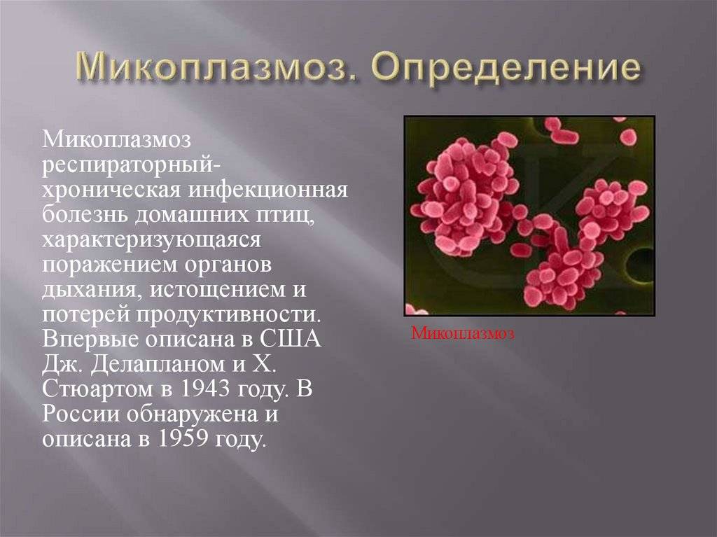 Микоплазменная инфекция симптомы