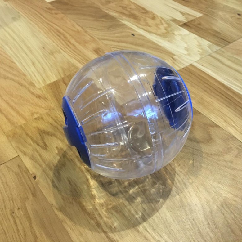 Прогулочный шар для хомяка: как сделать своими руками в домашних условиях