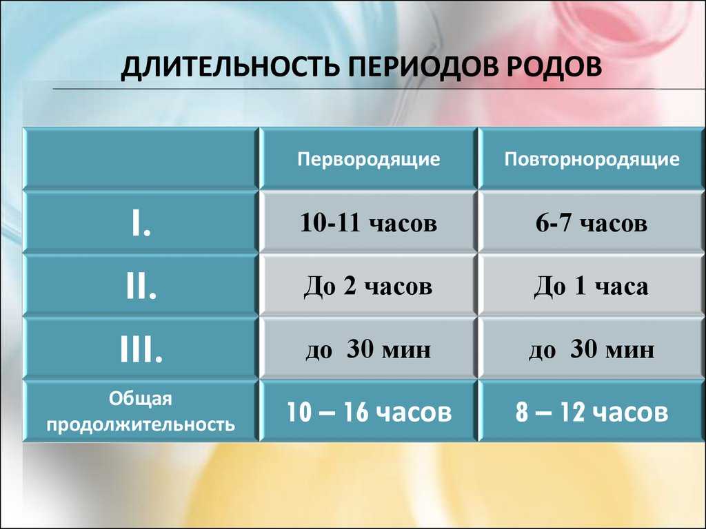 Содержание дегу после прибытия из роддома с новорожденным