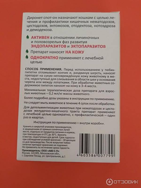 Диронет спот-он для кошек, инструкция по применению: как использовать капли на холку?
