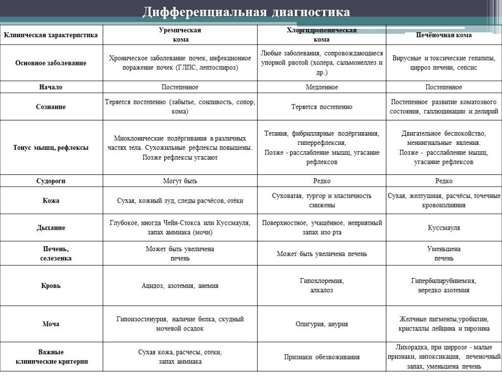Ручной дракон - аксолотль сколько живет в домашних условиях
