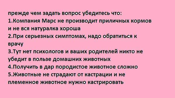 Как попросить родителей купить. Как уговорить родителей завести собаку. Как заставить родителей завести собаку. Как выпросить у родителей собаку. Как уговорить маму завести собаку.