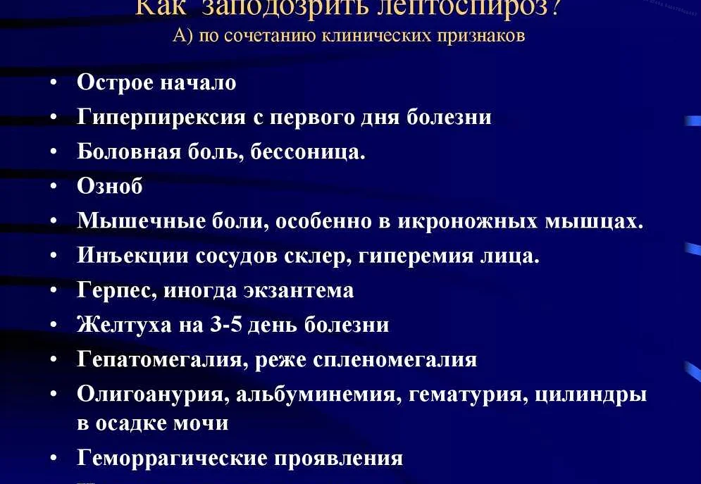 Больной лептоспирозом