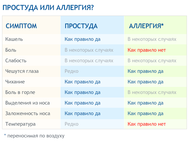 Хомяк чихает и попискивает: почему, что делать?