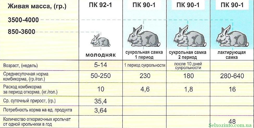 Сколько комбикорма съедает кролик в день: суточная норма от рождения до забоя